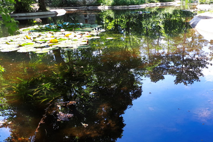 Badener Kurpark. Foto: Gerold Petritsch