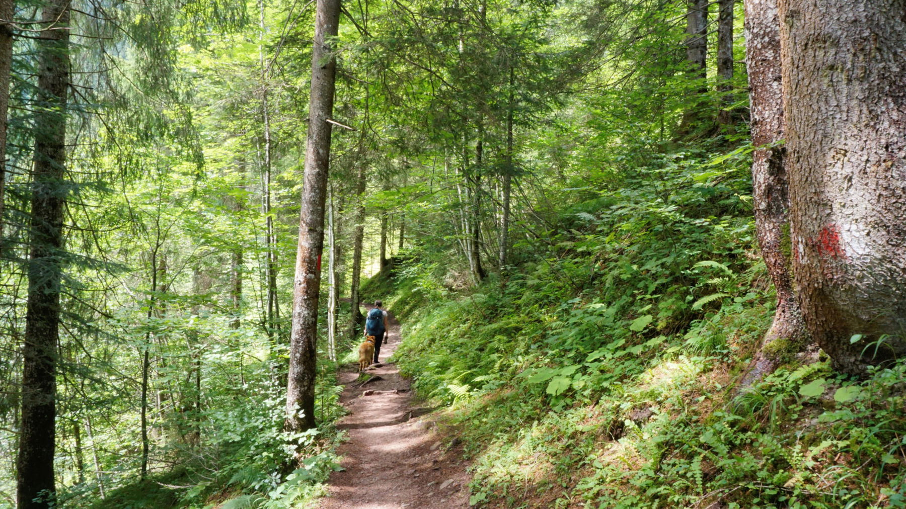 Foto: Alpenverein Saalfelden