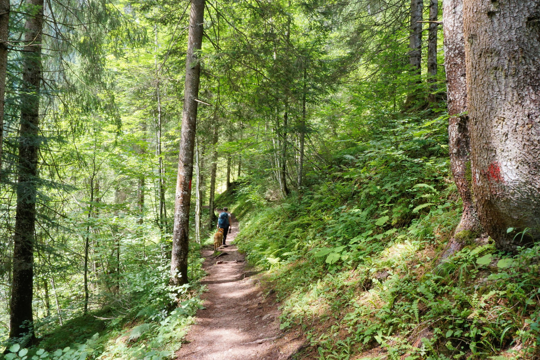 Foto: Alpenverein Saalfelden