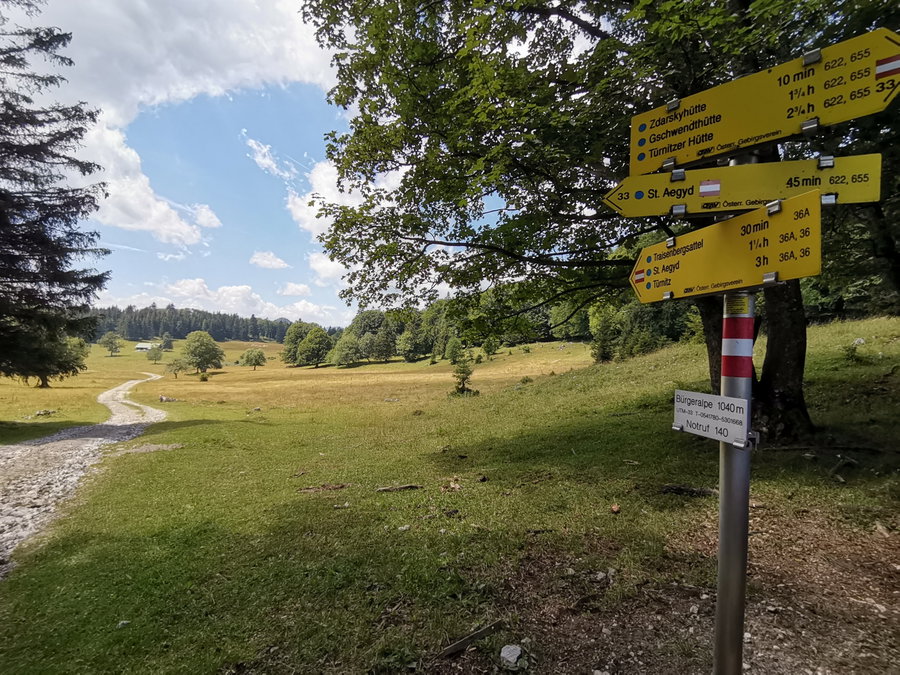 Auf der Bürgeralpe. Foto Veronika Schöll