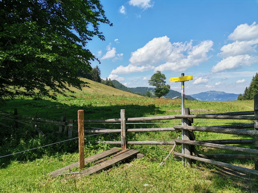 Links auf die Paulmauer. Foto Veronika Schöll