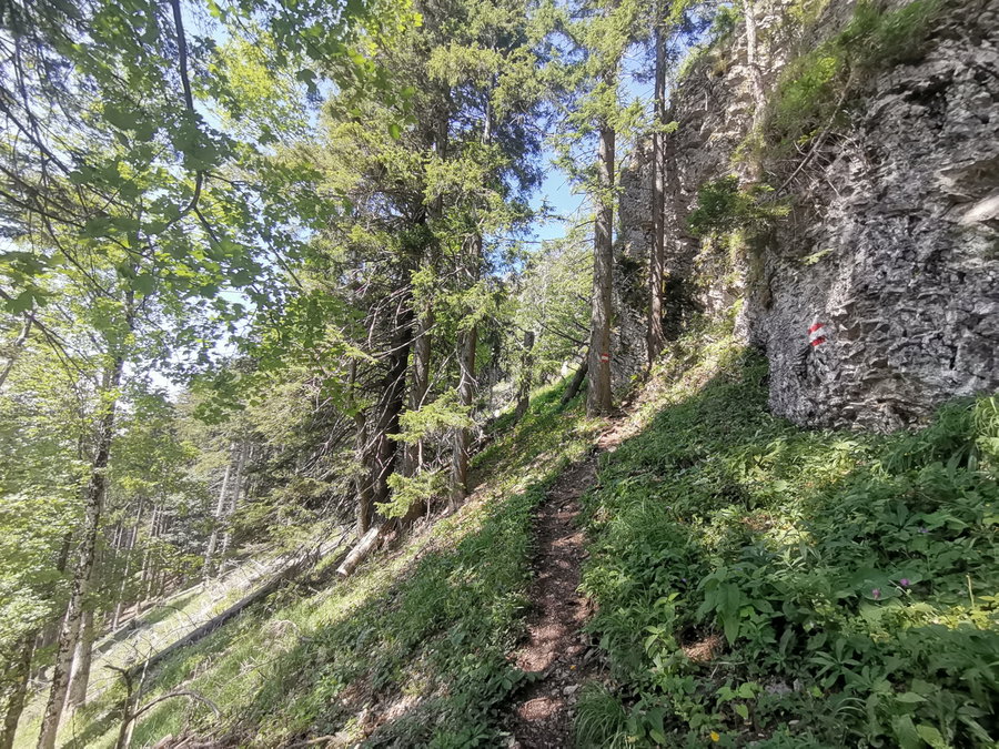 Weglein zum Linsberg. Foto Veronika Schöll