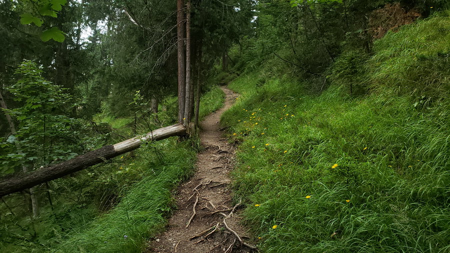 Am Normalweg. Foto Alpenverein Saalfelden