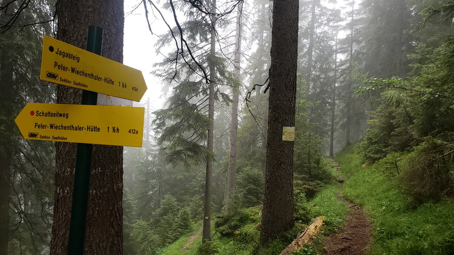 Schattseitweg oder Jagasteig? Foto Alpenverein Saalfelden