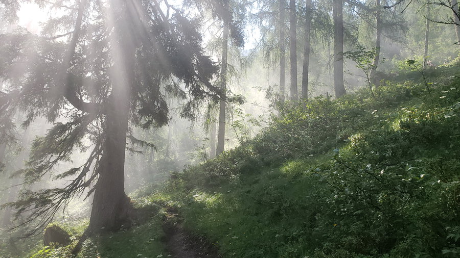 Der Nebel lichtet sich. Foto Alpenverein Saalfelden