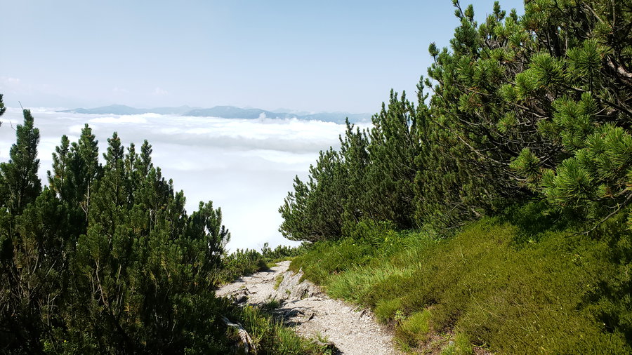 Abstieg über den Normalweg. Foto Alpenverein Saalfelden 
