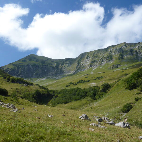 Moosenalm. Foto S. Sturn