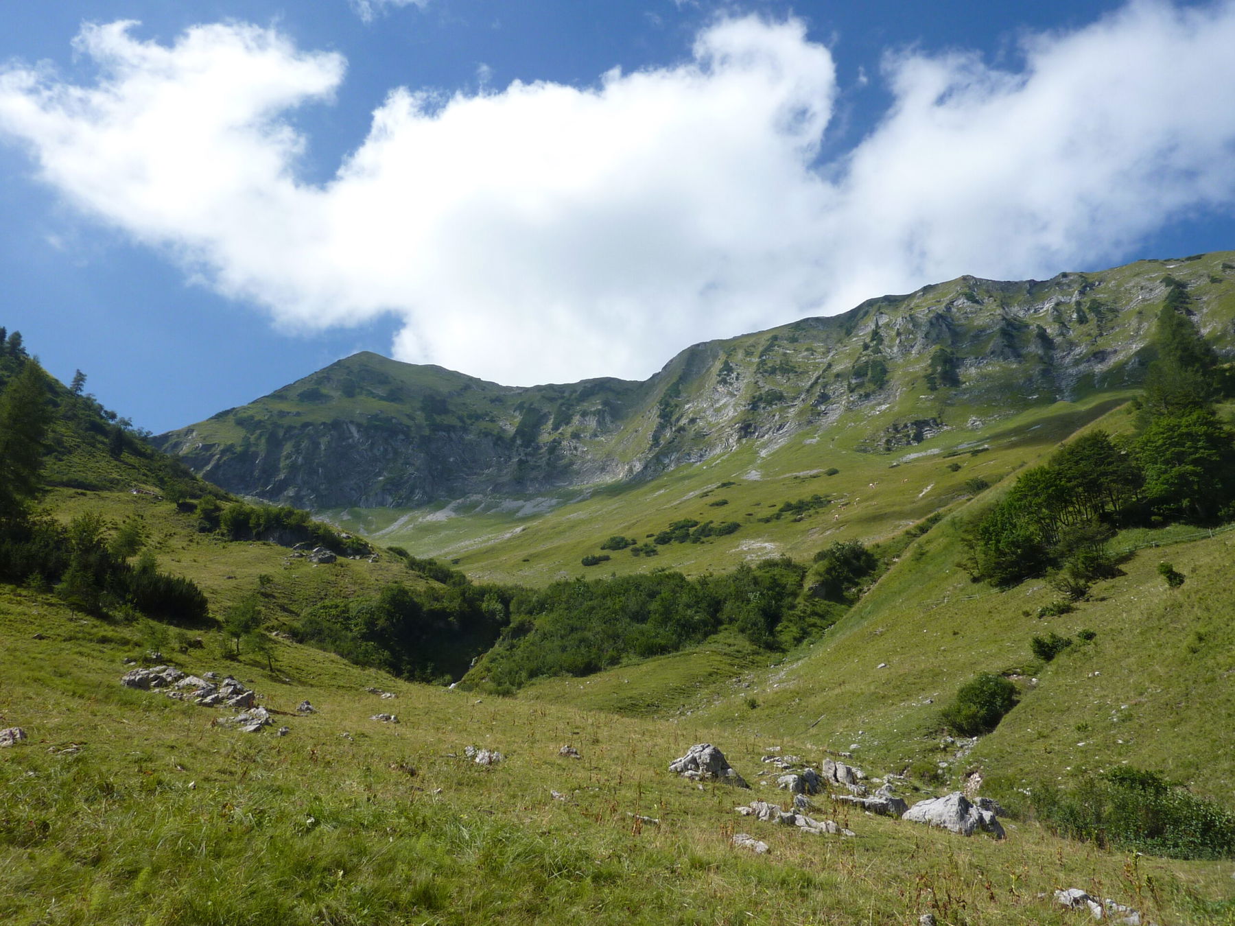 Zur Moosenalm am Achensee