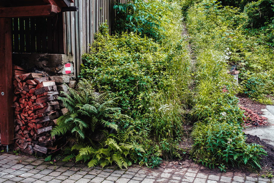 Direkt nach einem Wohnhaus beginnt der Weg auf den Gschwendtberg. Foto: Stefan Galler