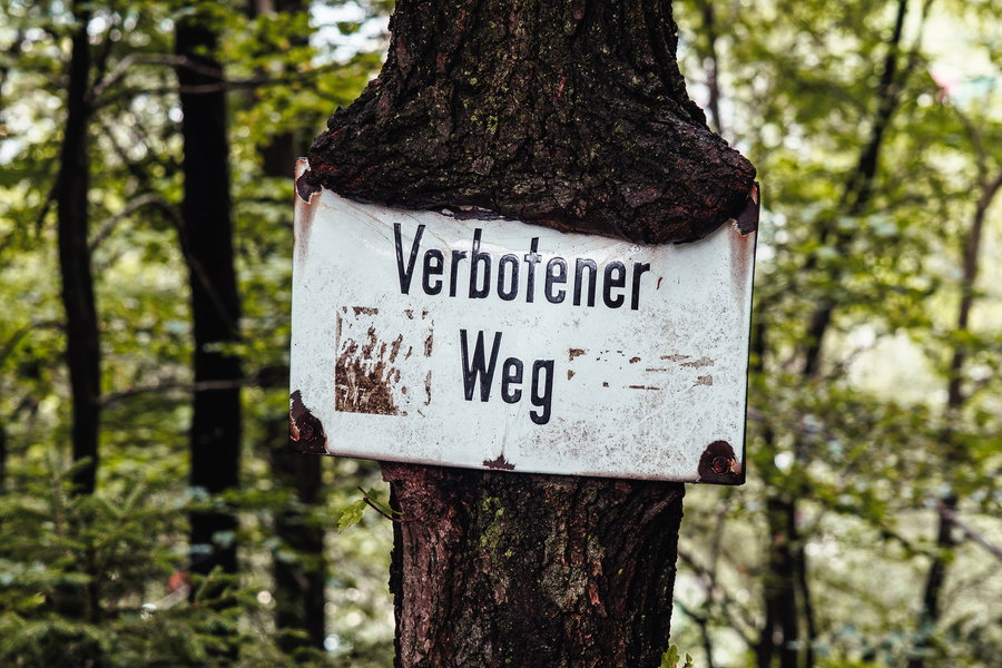 Wo der wohl hinführt? Foto: Stefan Galler