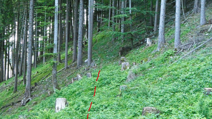 Der Einstieg in den Steig. Foto: Karl Plohovich
