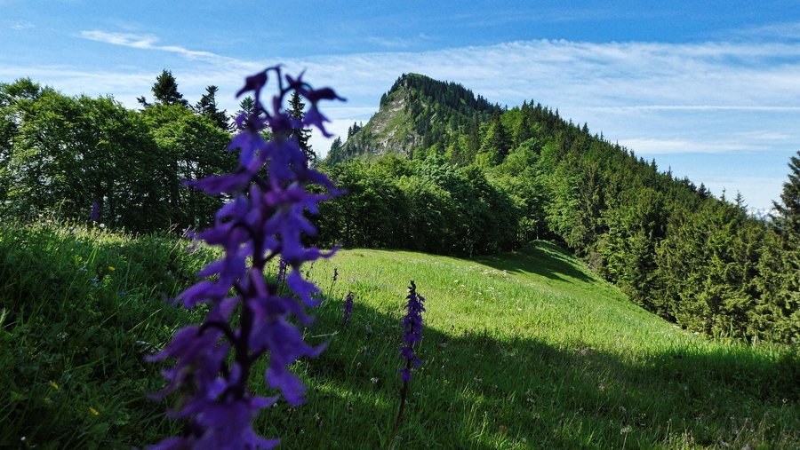 Nordrücken. Foto: Karl Plohovich