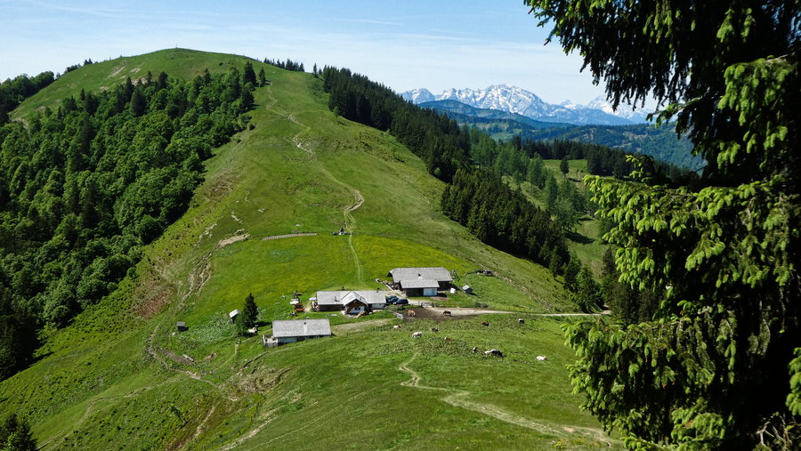 Blick zur Loibersbacher Höhe. Foto: Karl Plohovich