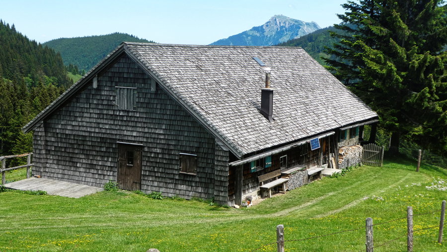 Laner Alm mit Schafberg. Foto: Karl Plohovich