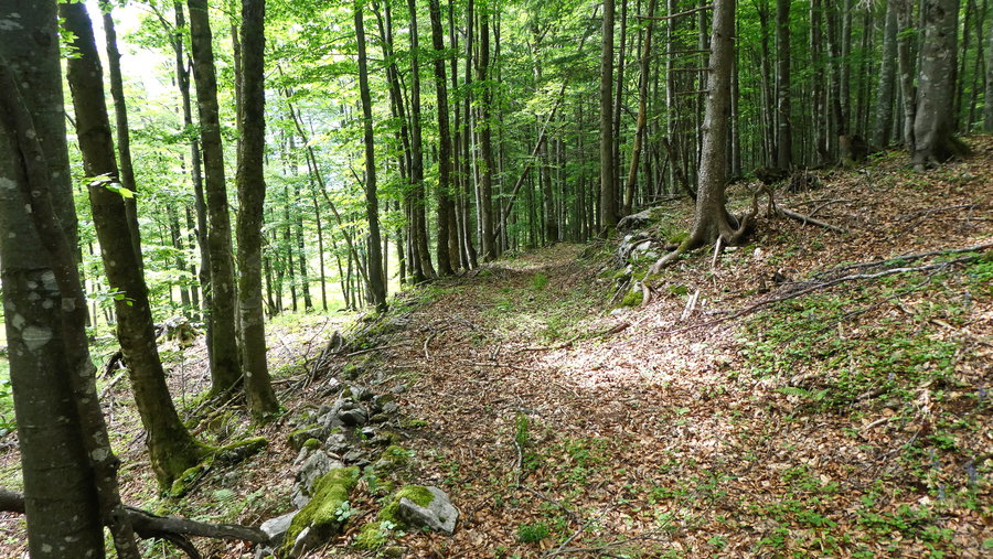 Alter Zugweg. Foto: Karl Plohovich