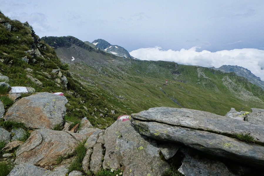 Ankogel und Hannoverhaus in Sicht. Foto: Karl Plohovich