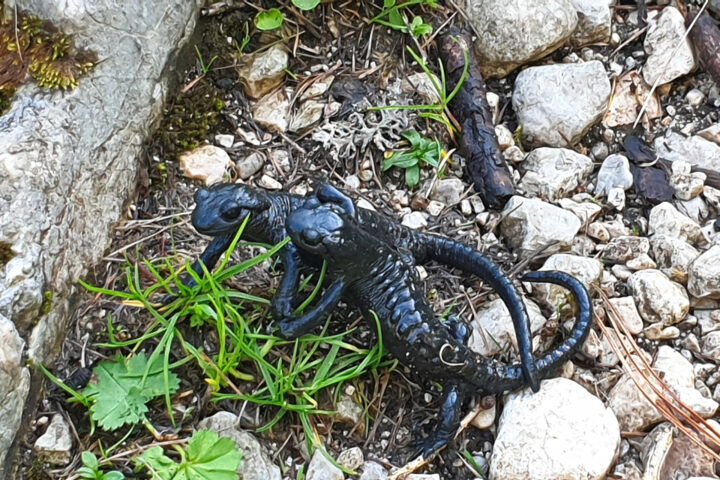 Impressionen vom 3. Tag 1. Foto: Markus Büchler