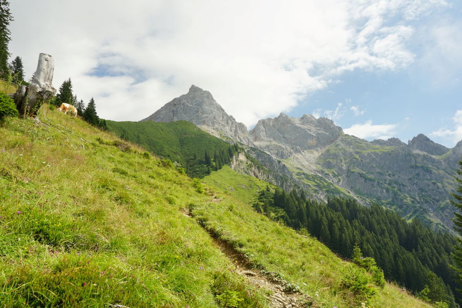 Am Almboden mit Blick auf Braggstein, Selbhorn und Wasserfallscharte. Foto Alpenverein Saalfelden