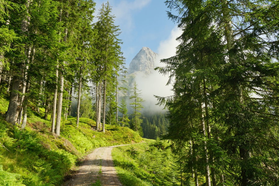 Selbhorn im auflösenden Hochnebel. Foto Alpenverein Saalfelden