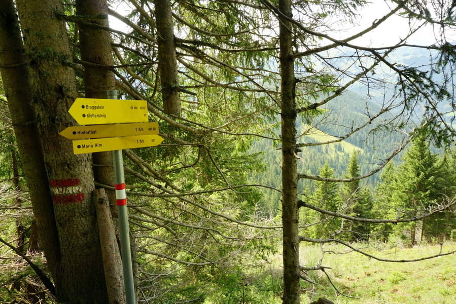 Wegkreuzung Hinterthal / Maria Alm. Foto Alpenverein Saalfelden