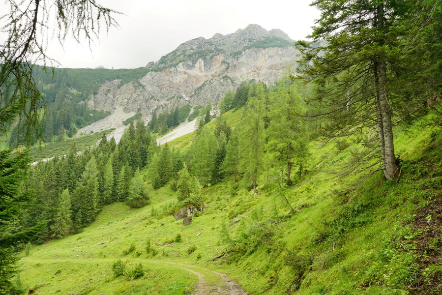 Schmetterlingpfad. Foto Alpenverein Saalfelden