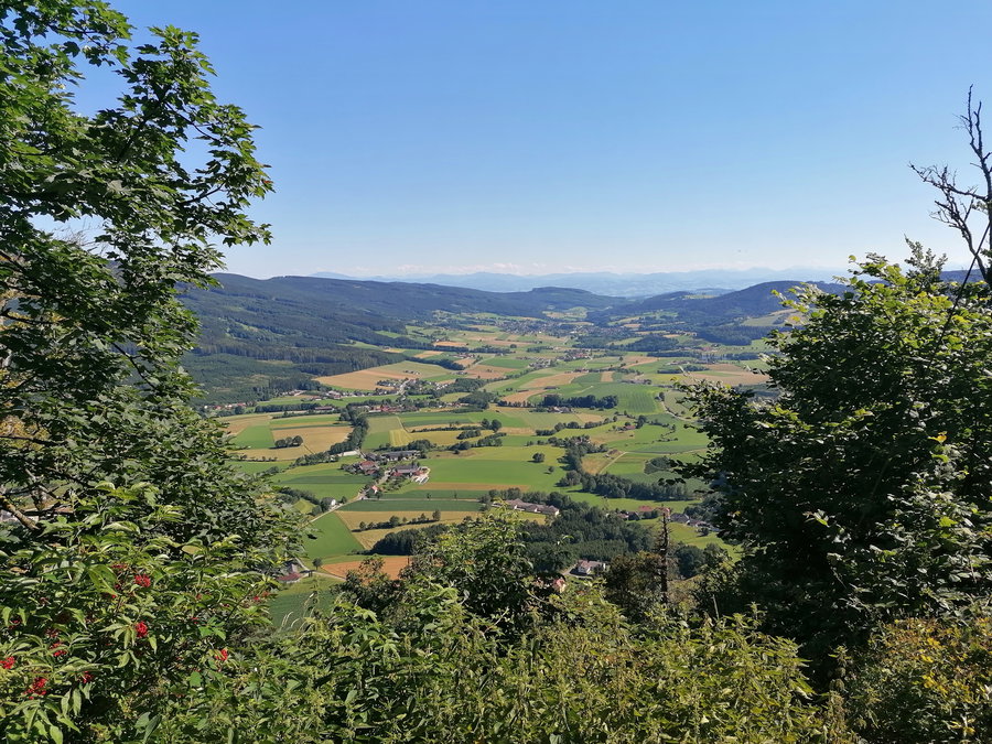Ausblick vom Kaltenbergkreuz. Foto Sarah Pallauf