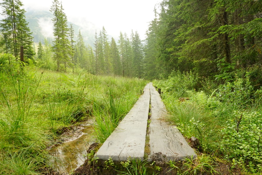 Holzbohlen sichern den Weg. Foto Alpenverein Saalfelden