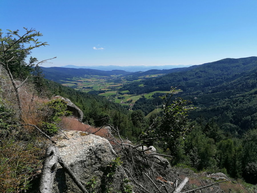 Erster Ausblick auf den Druidenweg. Foto Sarah Pallauf