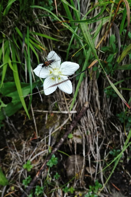 Es gibt viel zu entdecken auf dieser Wanderung 1. Foto: Norman und Lisa
