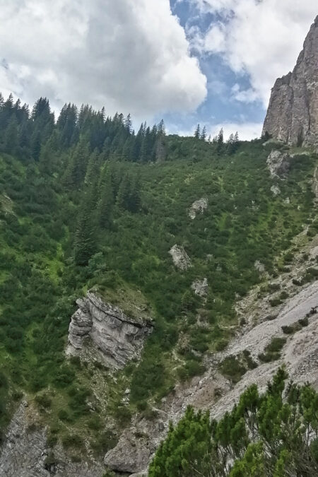 Es gibt viel zu entdecken auf dieser Wanderung 2. Foto: Norman und Lisa