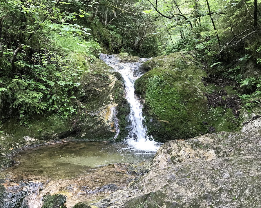 Kleiner Wasserfall am Aubach hinter dem Outdoor-Rig. Foto: David Kurz