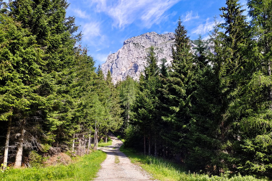 Blick auf die Preinerwand beim Zustieg. Foto: Simon Widy