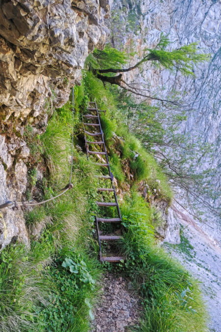 Ausgesetzte Leiter am Gaislochsteig, man geht über dem Abgrund. Foto: Simon Widy