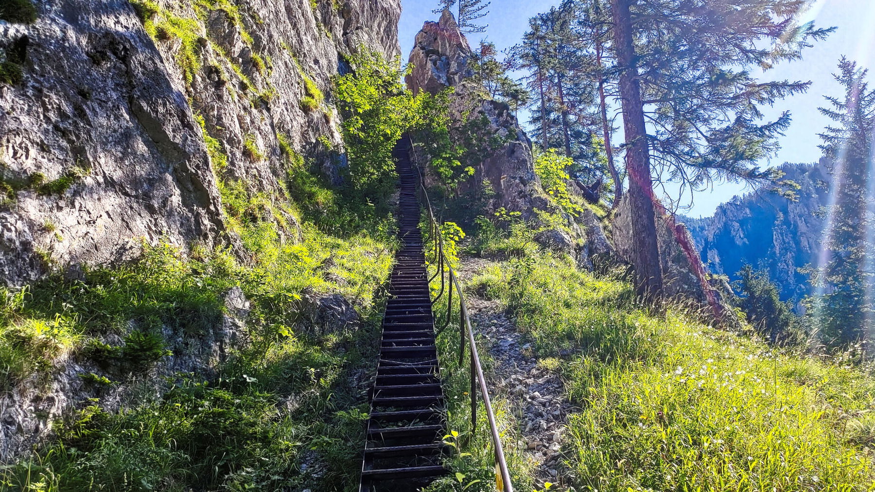 Die Schönbrunnerstiege, der Verbindungsweg vom Großen Höllental zum Weichtalhaus. Foto: Simon Widy