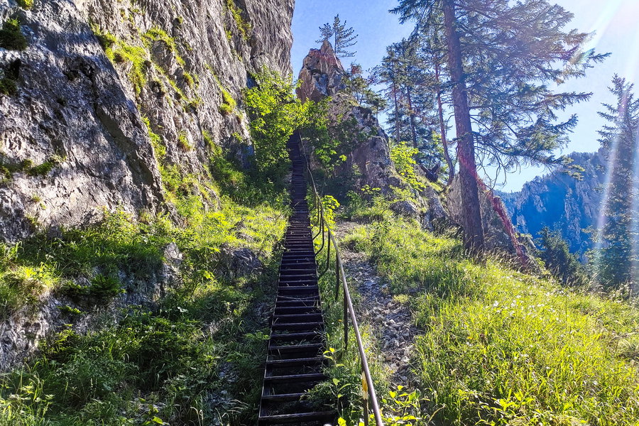 Die Schönbrunnerstiege, der Verbindungsweg vom Großen Höllental zum Weichtalhaus. Foto: Simon Widy