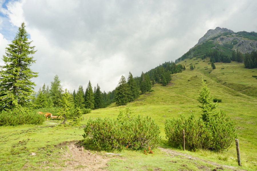 Die Sonne kommt raus am Weg nach Hinterthal. Foto Alpenverein Saalfelden
