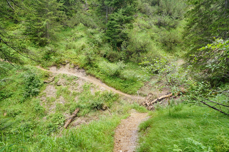 Traildetail. Foto Alpenverein Saalfelden