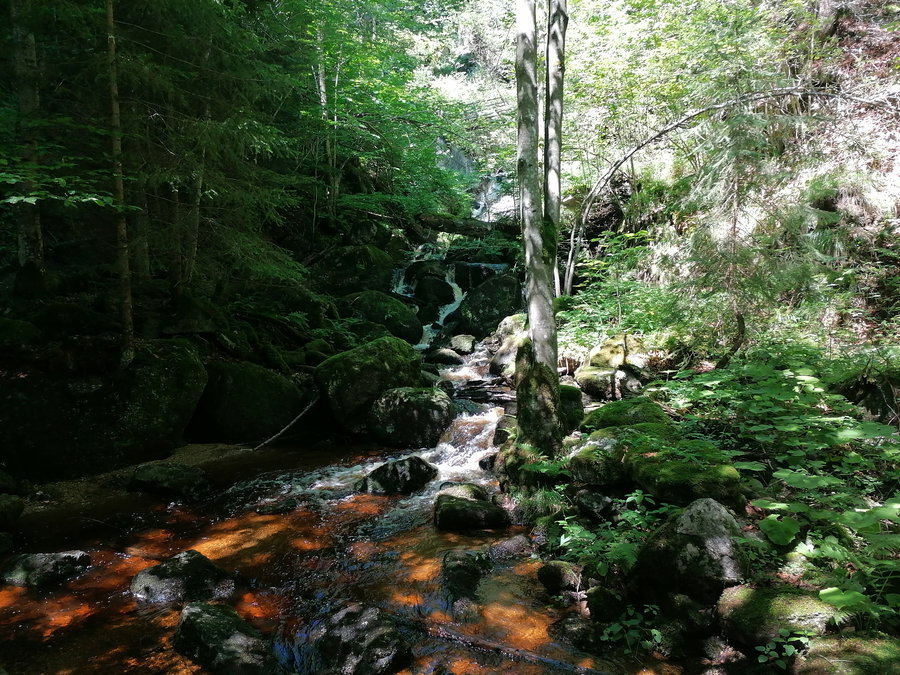 Ysperklamm mit Wasserfärbung. Foto Sarah Pallauf