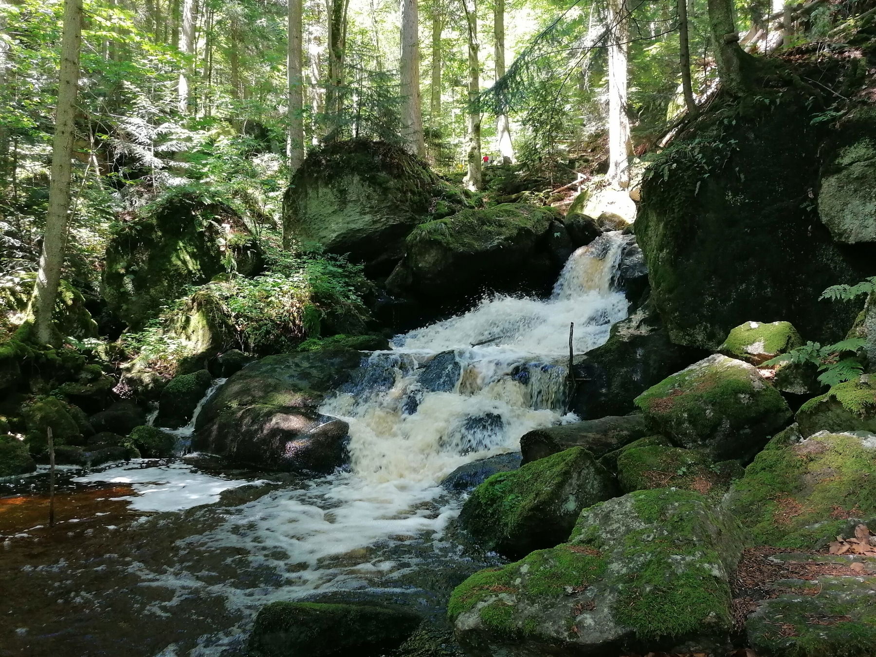 Auf den Spuren der Druiden: Die Ysperklamm im Waldviertel