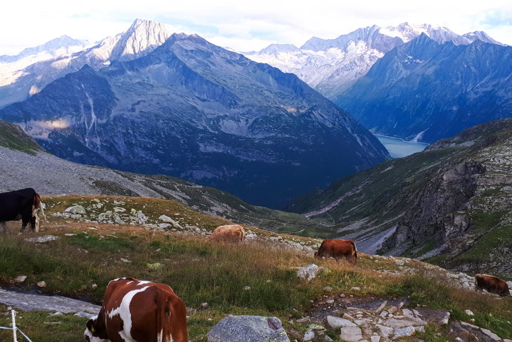Vom Friesenberghaus. Foto: Gerold Petritsch