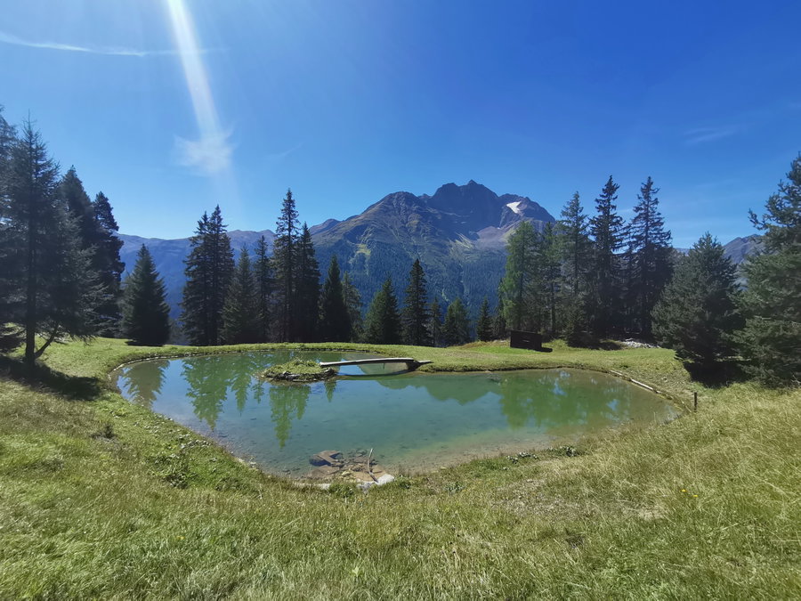 Nach der Fritzhütte, Blick auf den Riffler und Blankahhorn. Foto Veronika Schöll