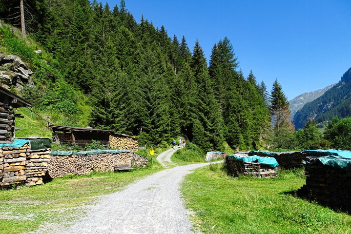 Zu Beginn ganz einfach den Schildern in den Wald folgen. Bald kommt linkerhand die Option über den Steig mit Wasserfall weiter zu gehen. Foto: Thomas Obermair