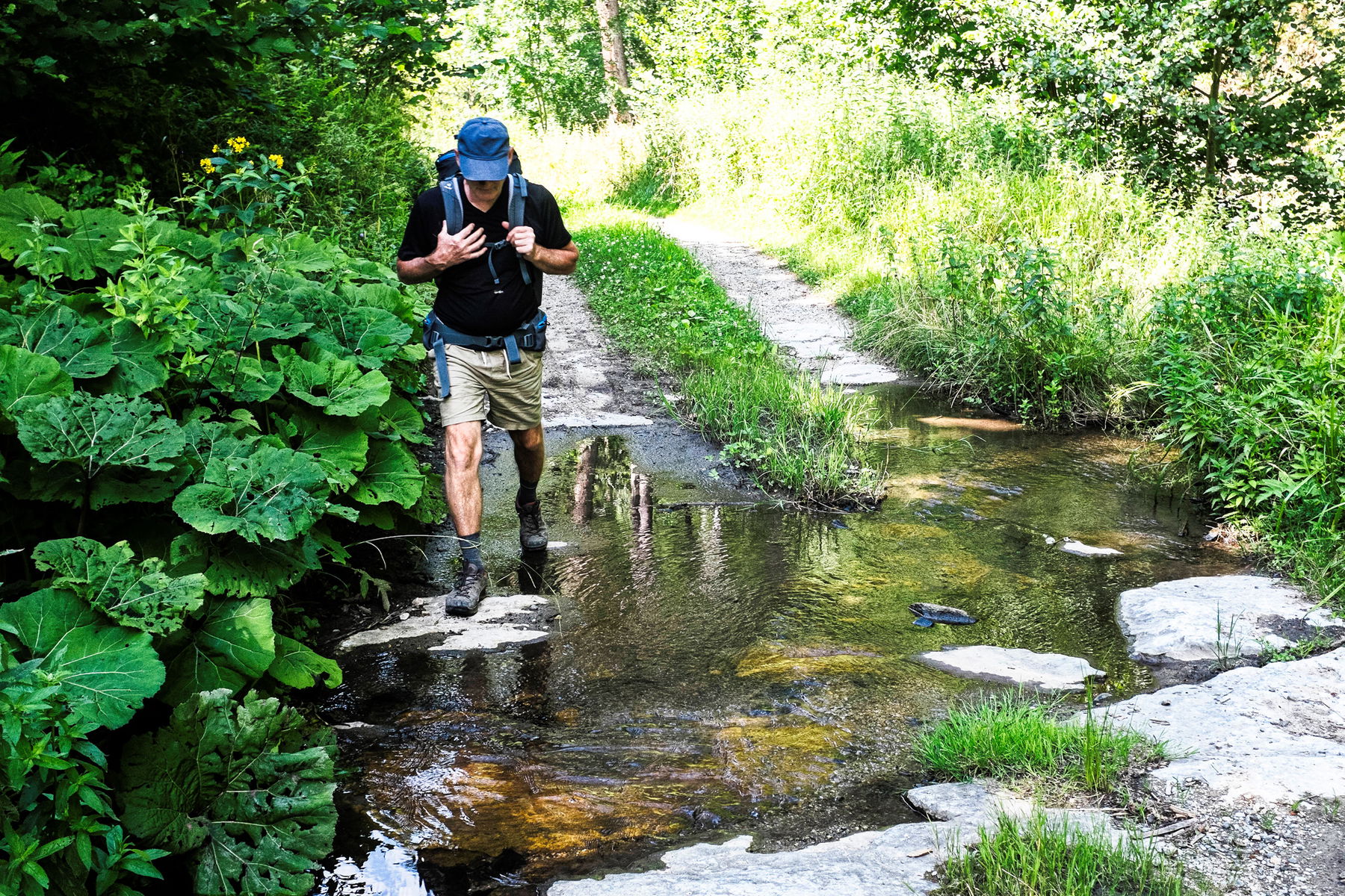 Erkundungen im Waldviertel