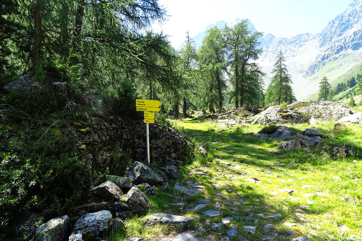 Nach der Tiefenthalalm weist ein Schild nach rechts durch die Wiese. Ohne die schwieriger zu sehenden Bodenmarkierungen wäre es hier aber nicht leicht, genau am Weg zu bleiben. Foto: Thomas Obermair