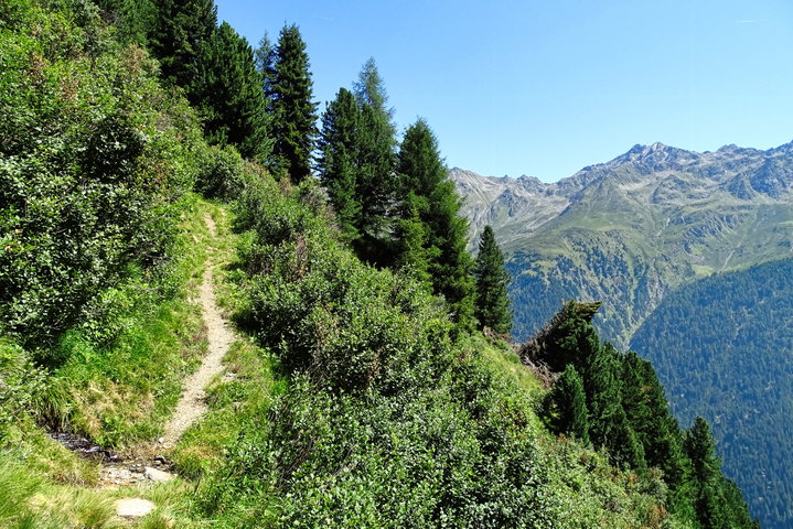 Wanderweg im Aufstieg zur Sturzmahd. Foto: Thomas Obermair