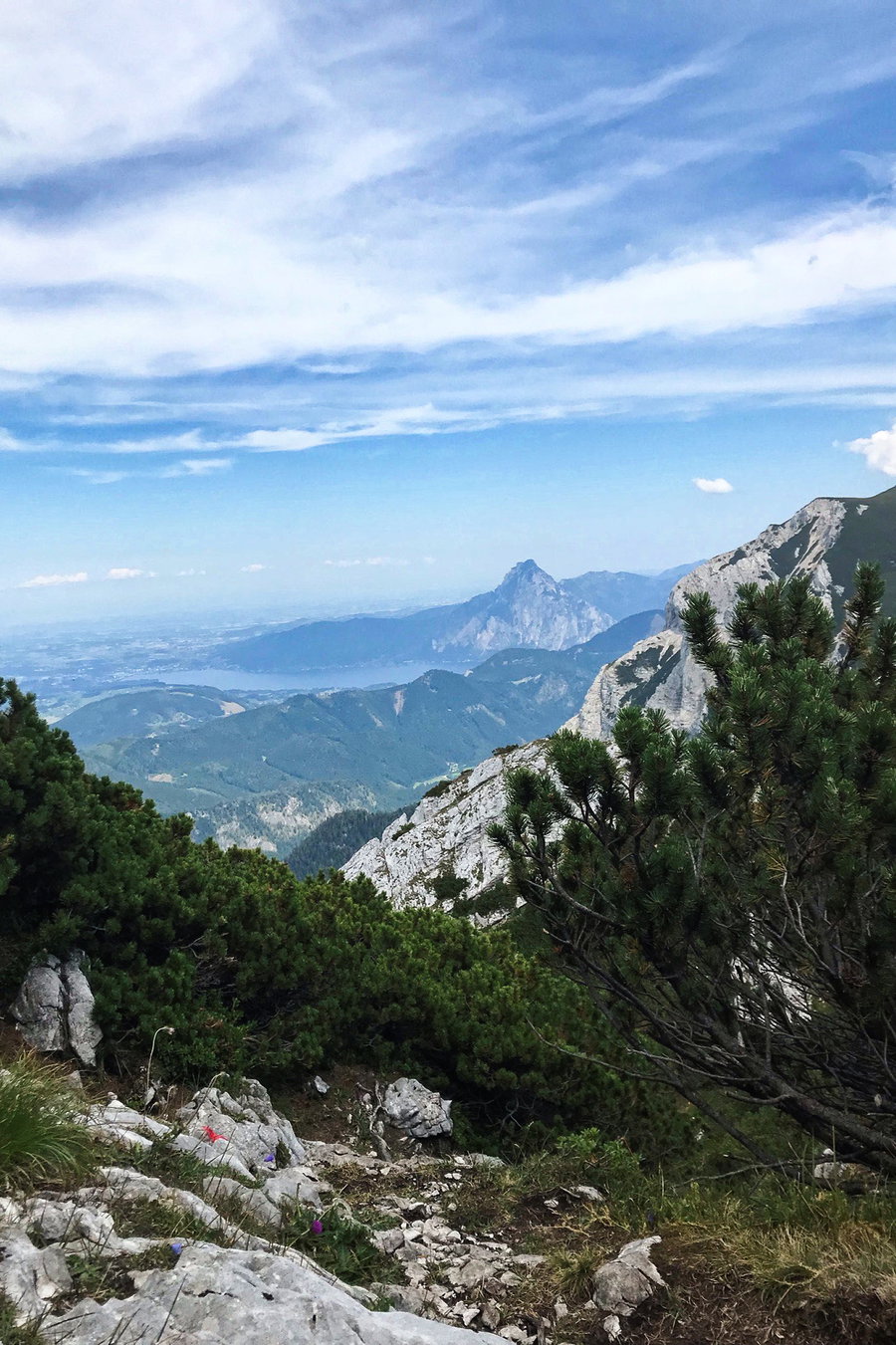 Schöne Aussicht. Foto: Hummel