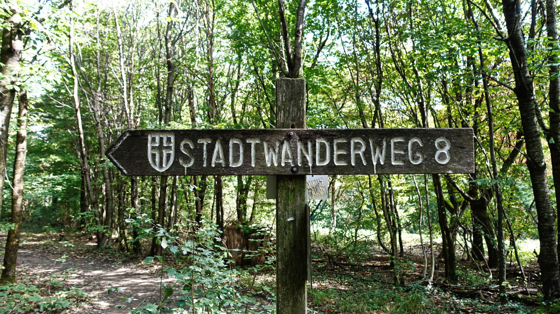 Der Stadtwanderweg 8 ist gut beschildert. Foto: Martin Heppner