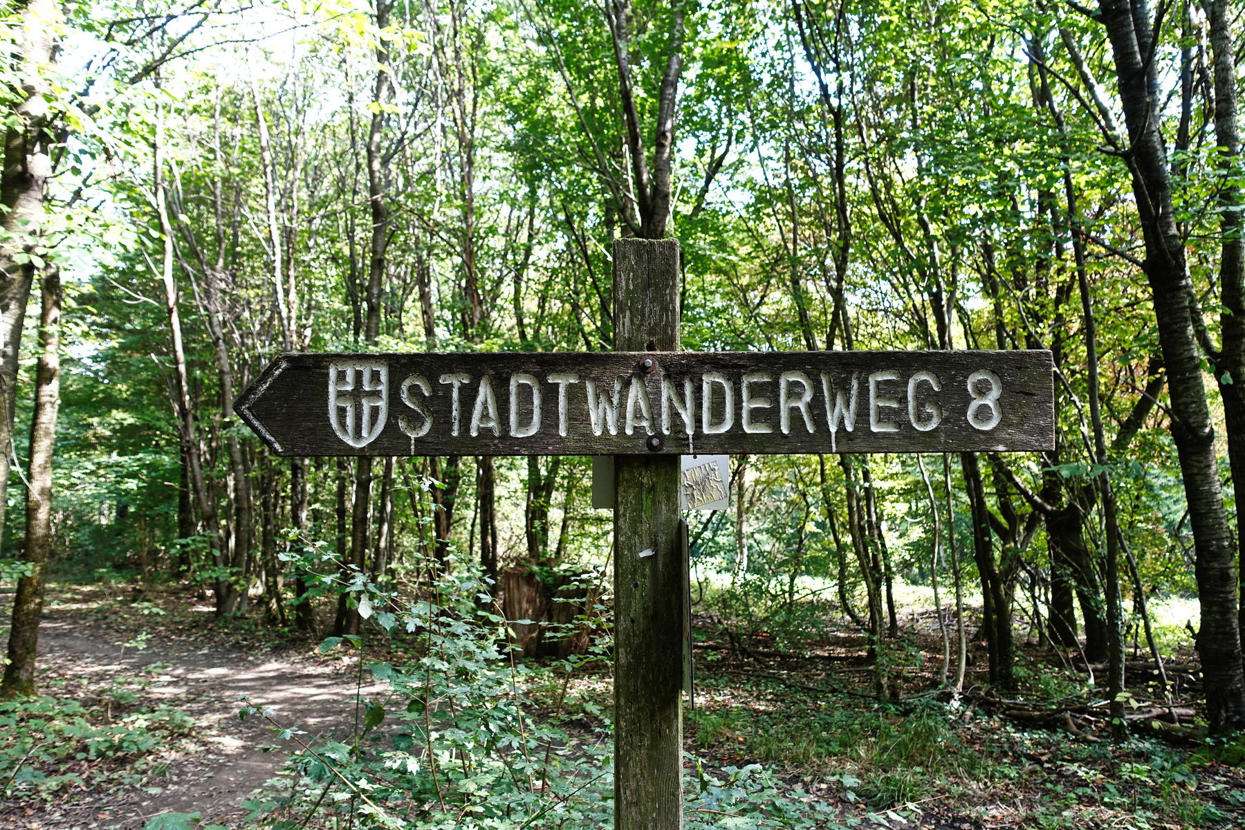 Stadtwanderweg 8 Sophienalpe