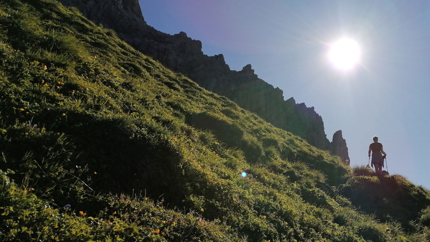 Grashang unterhalb der Hochkünzelspitze. Foto: Norman und Lisa