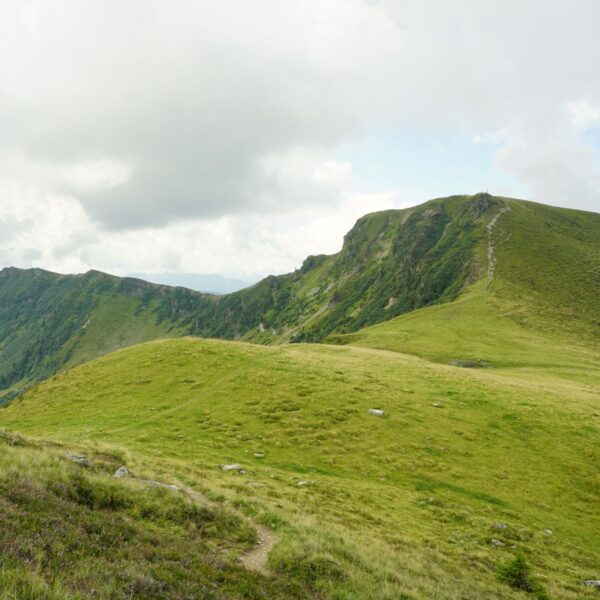 Schwalbenwand und Grat Richtung Hundstein. Foto Alpenverein Saalfelden